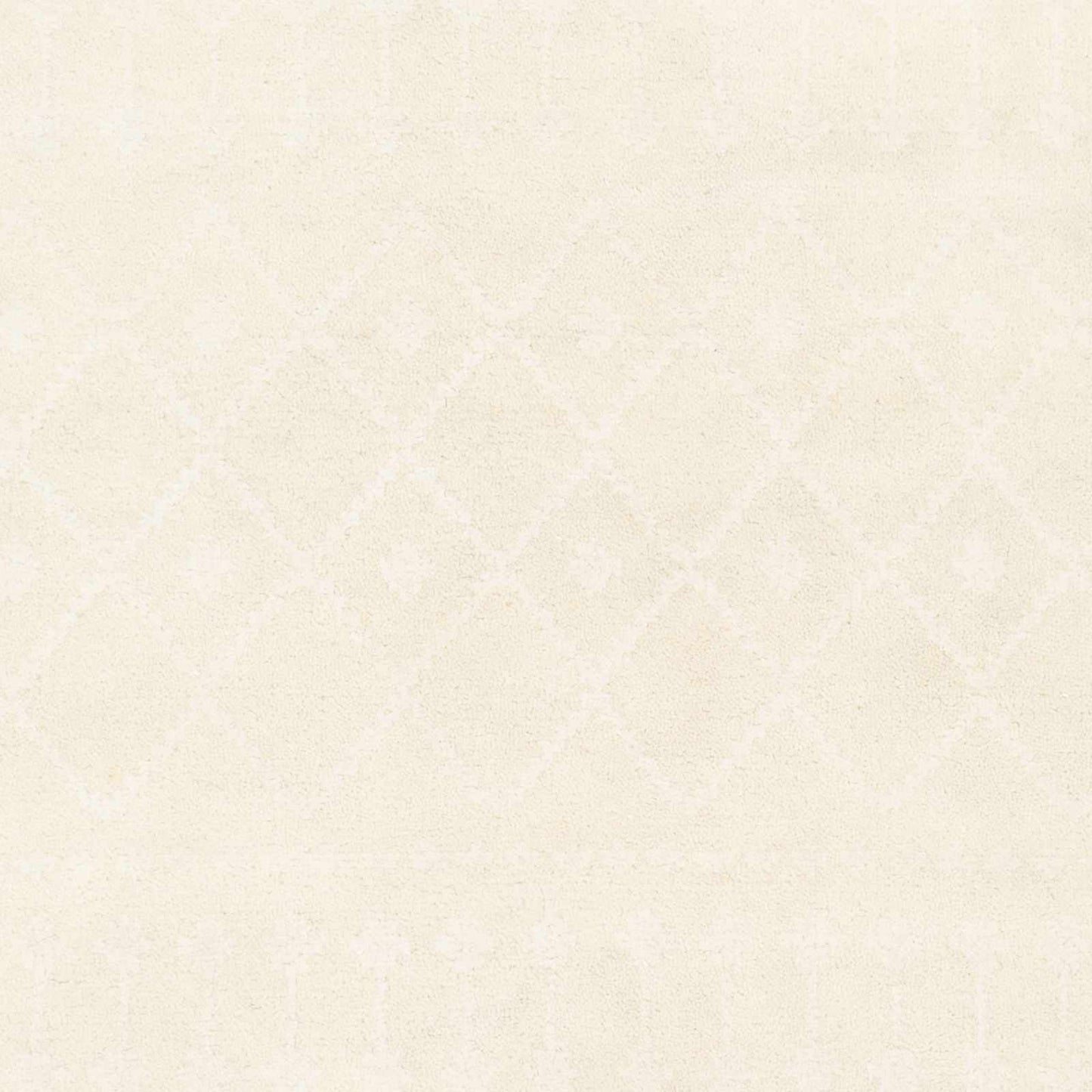 Casa CAA-2300 Hand Knotted Rug