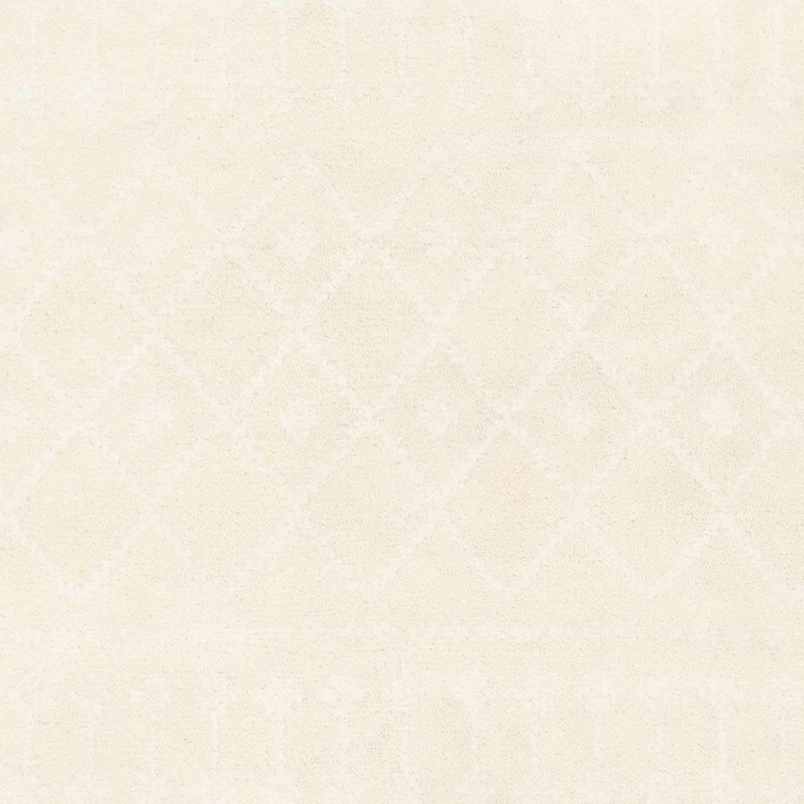 Casa CAA-2300 Hand Knotted Rug