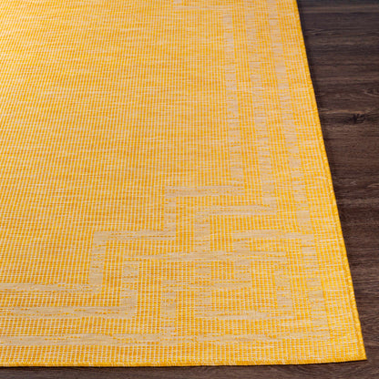Pasadena PSA-2354 Machine Woven Rug