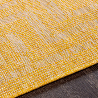 Pasadena PSA-2354 Machine Woven Rug
