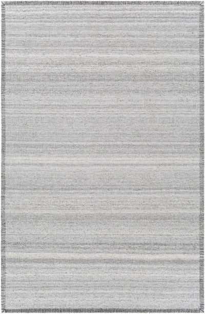 Silver Gray Hand Woven 100% Viscose Global Rectangle Handmade rug, Indoor use only, no fringe, non-washable.