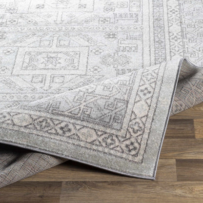 Chester CHE-2329 Machine Woven Rug