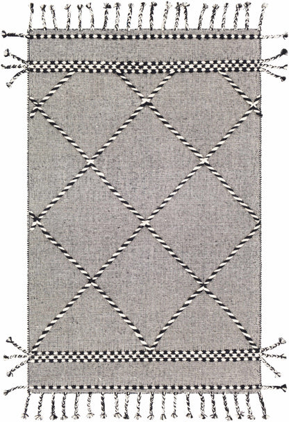 Apache APA-2306 Hand Woven Rug