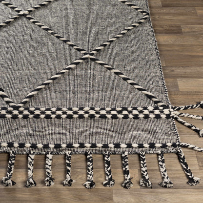Apache APA-2306 Hand Woven Rug