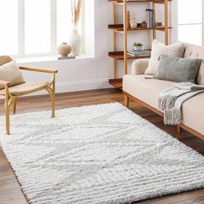 Urban Shag USG-2325 Machine Woven Rug
