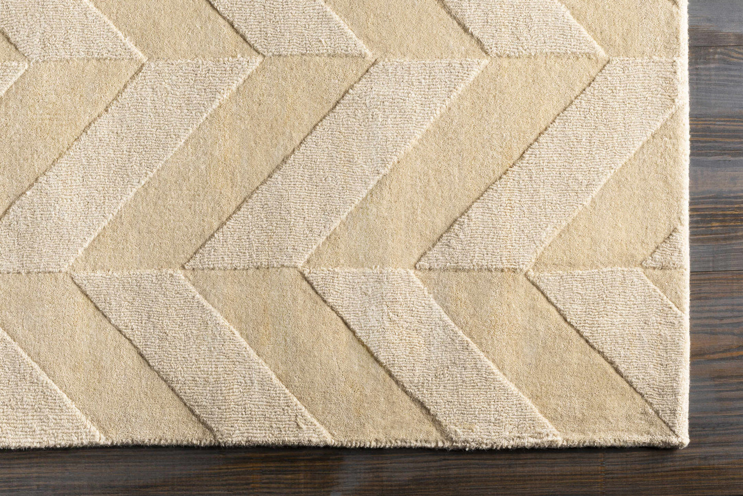 Central Park AWHP-4028 Hand Loomed Rug