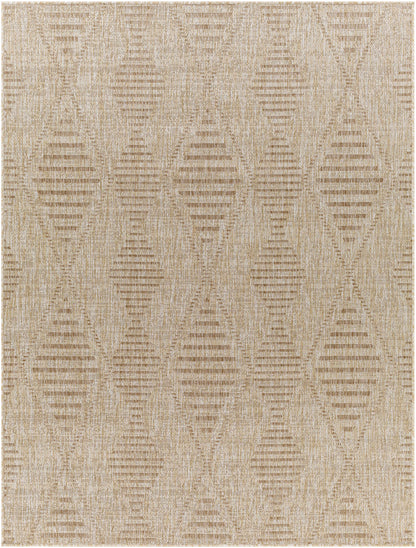 Tuareg TRG-2350 Machine Woven Rug