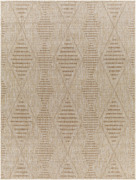 Tuareg TRG-2350 Machine Woven Rug