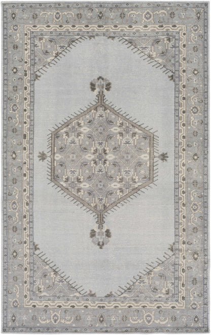 Zahra ZHA-4028 Hand Knotted Rug