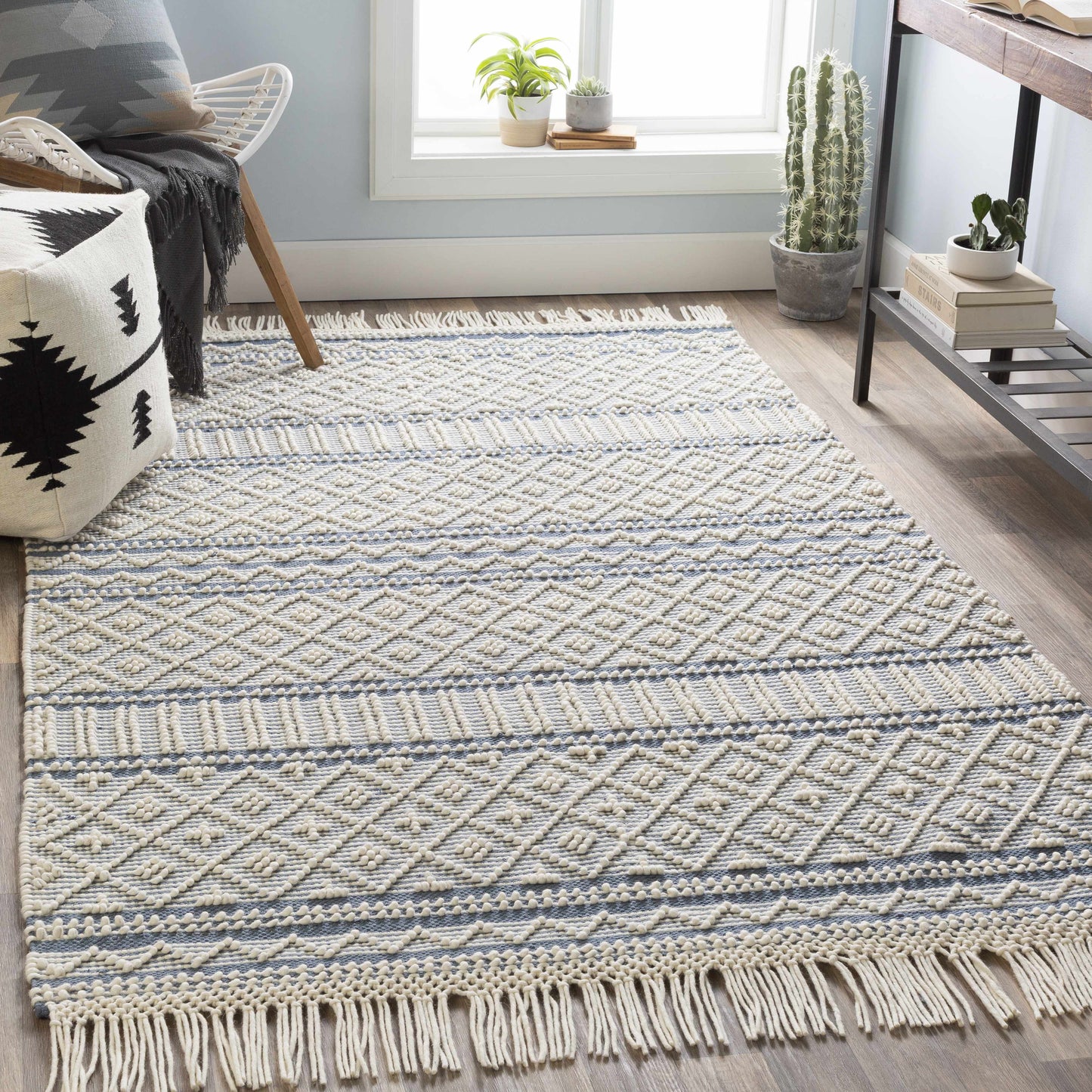 Farmhouse Tassels FTS-2301 Hand Woven Rug