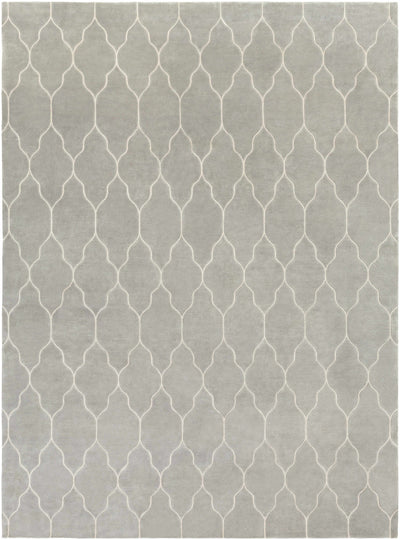 Taupe Hand Knotted 100% Wool Modern Rectangle Handmade rug, Indoor use only, no fringe, non-washable.