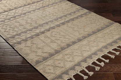 Preston PTN-2301 Hand Woven Rug