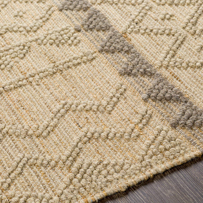 Preston PTN-2301 Hand Woven Rug