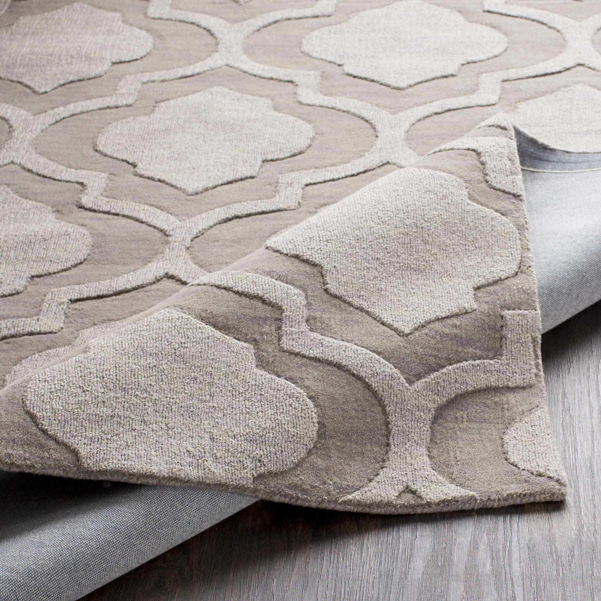 Central Park AWHP-4009 Hand Loomed Rug