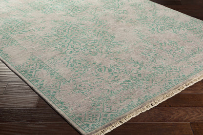 Transcendent TNS-9011 Hand Knotted Rug