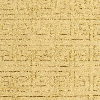 Kabru KAB-8002 Hand Woven Rug