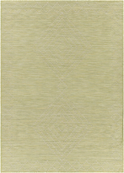 Pasadena PSA-2366 Machine Woven Rug