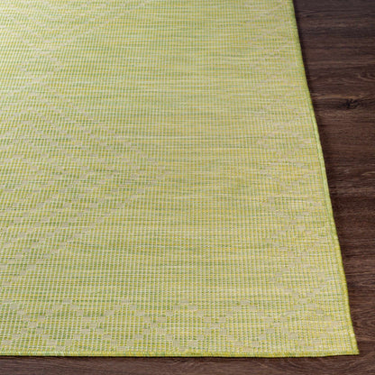 Pasadena PSA-2366 Machine Woven Rug