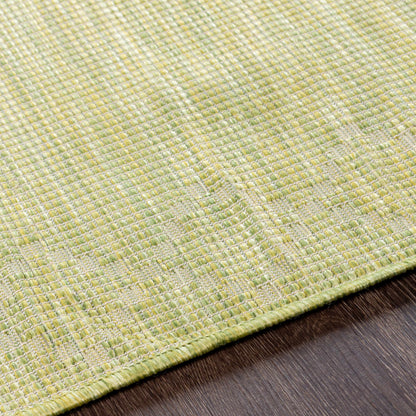 Pasadena PSA-2366 Machine Woven Rug