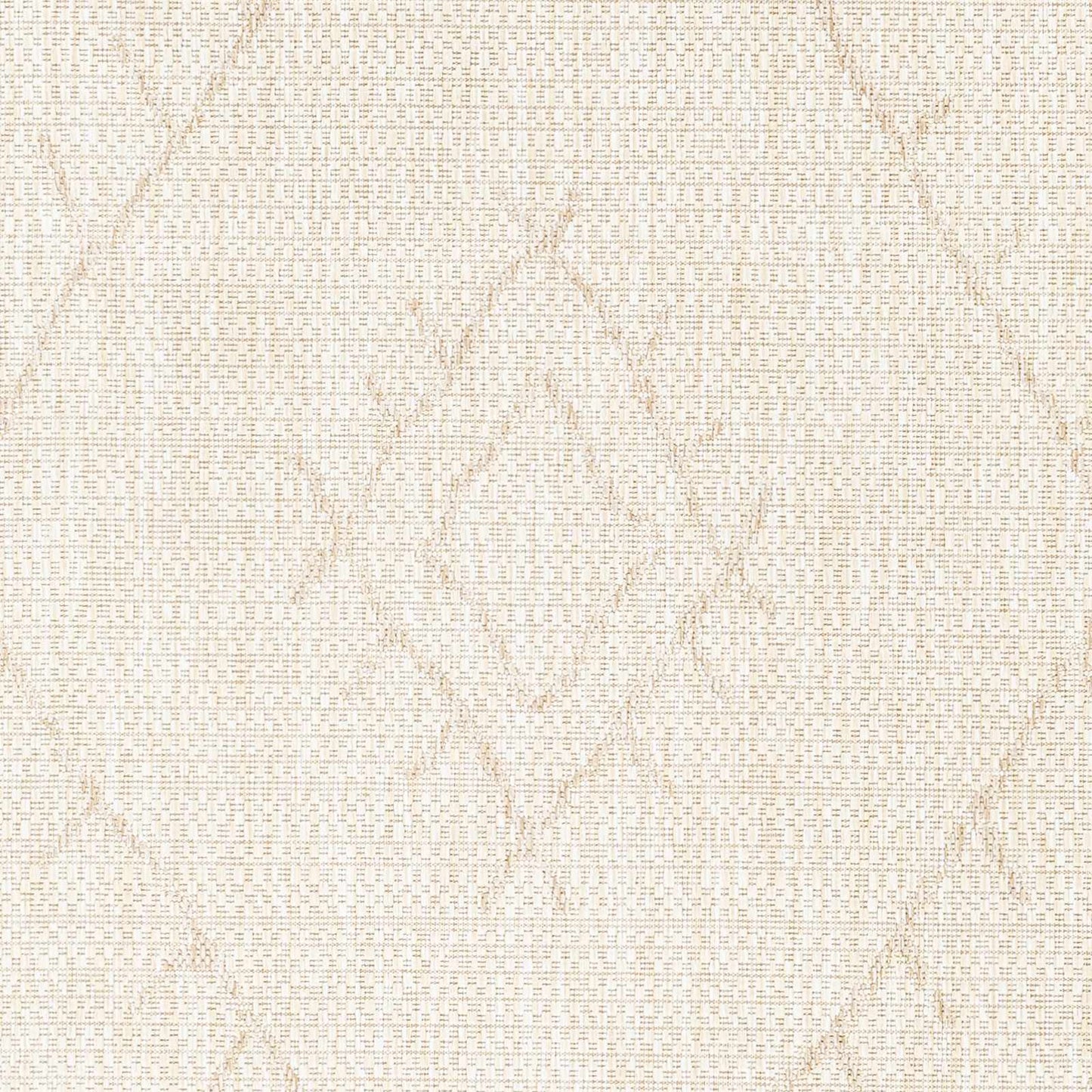 Eagean EAG-2402 Machine Woven Rug