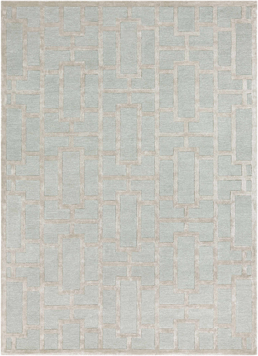 Arise AWRS-2139 Hand Tufted Rug