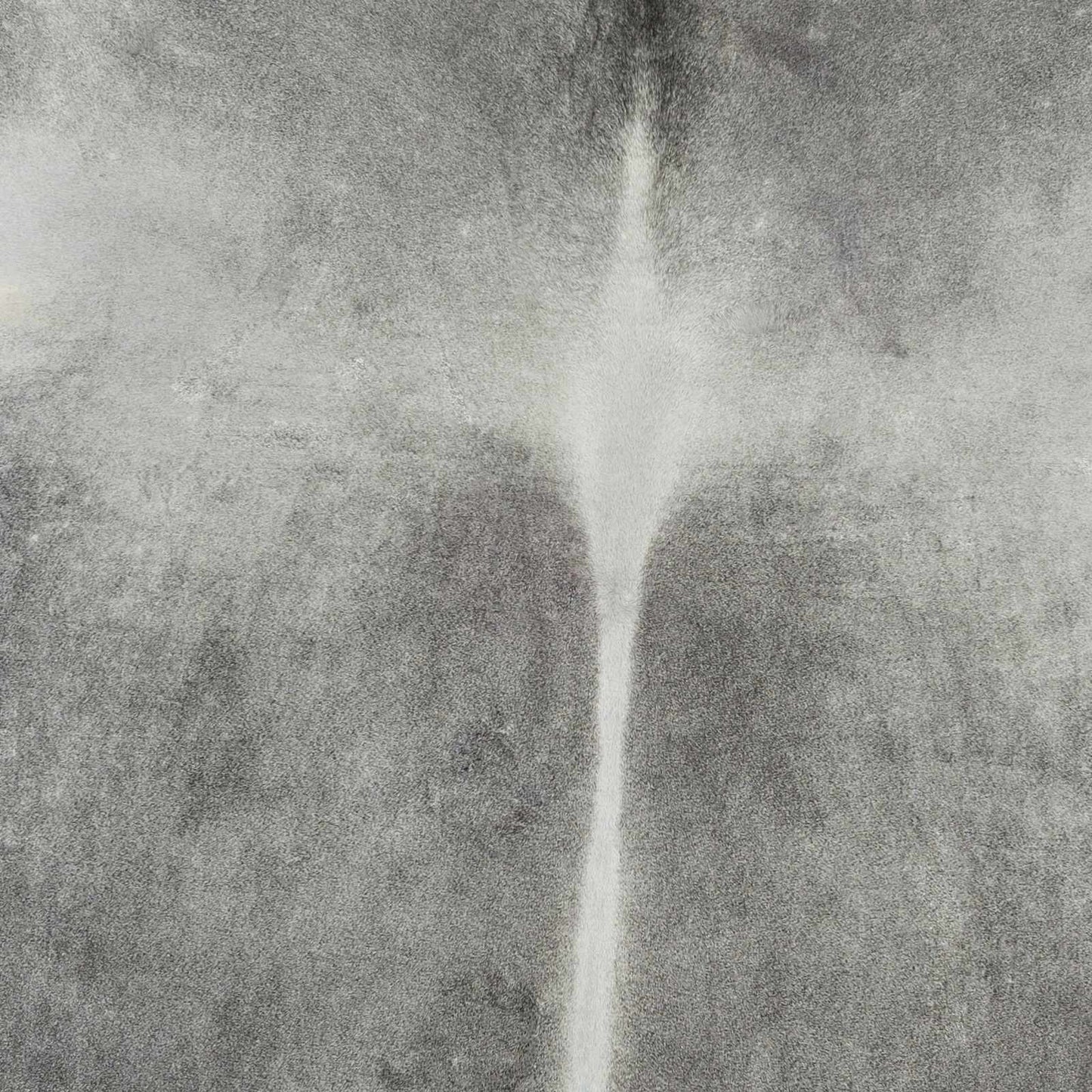 Patagonia PGA-1001 Handmade Rug