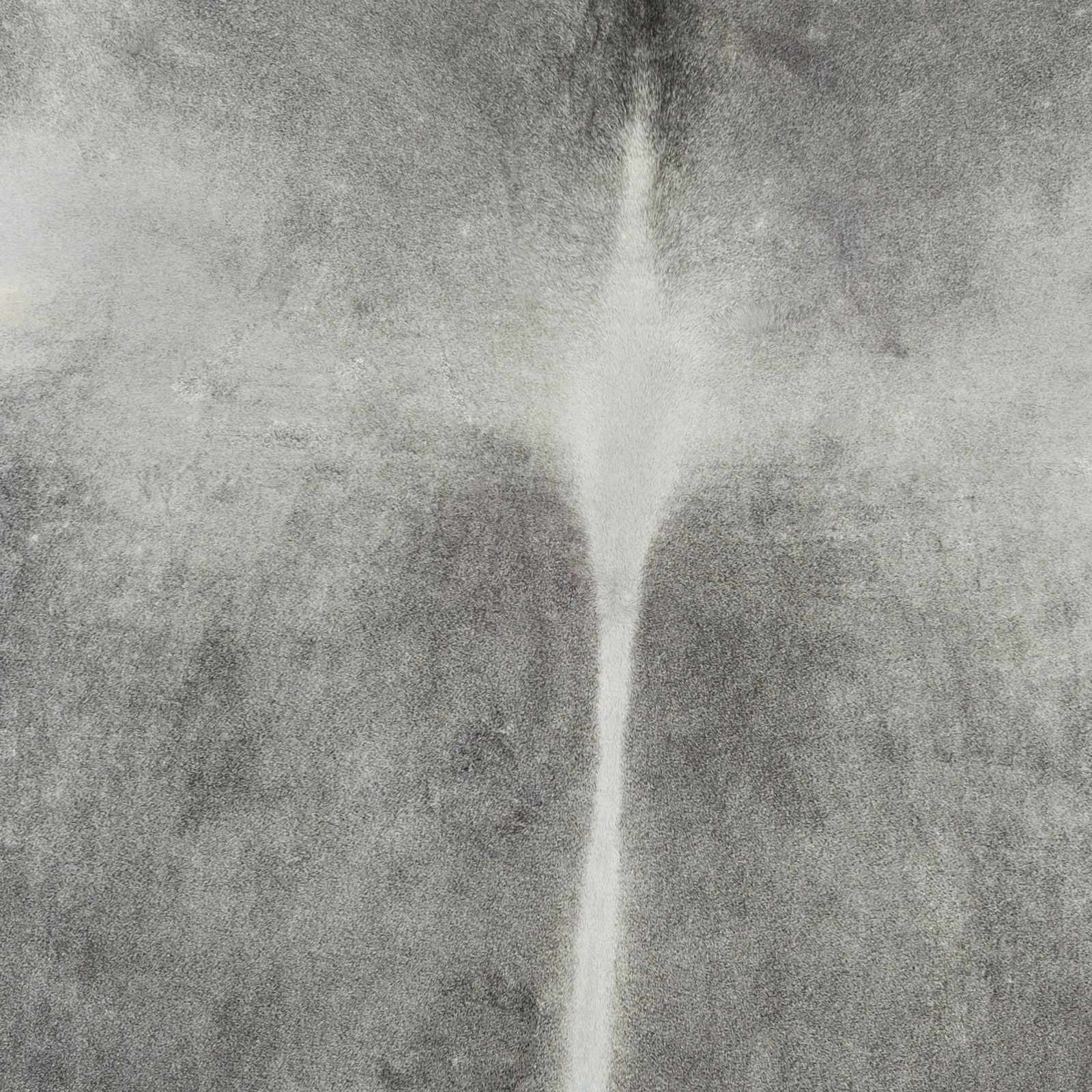 Patagonia PGA-1001 Handmade Rug