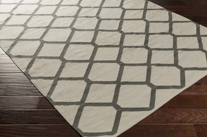 Vogue AWLT-3044 Hand Woven Rug