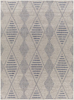 Tuareg TRG-2349 Machine Woven Rug
