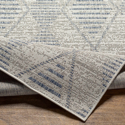 Tuareg TRG-2349 Machine Woven Rug