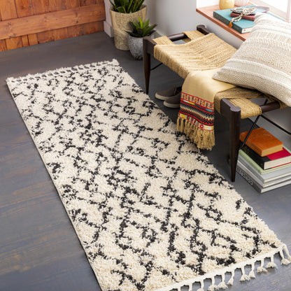 Berber Shag BBE-2301 Machine Woven Rug