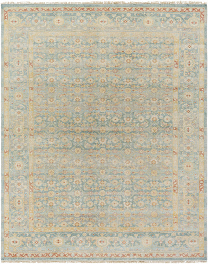 Hamadan HAM-2302 Hand Knotted Rug