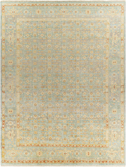 Hamadan HAM-2302 Hand Knotted Rug