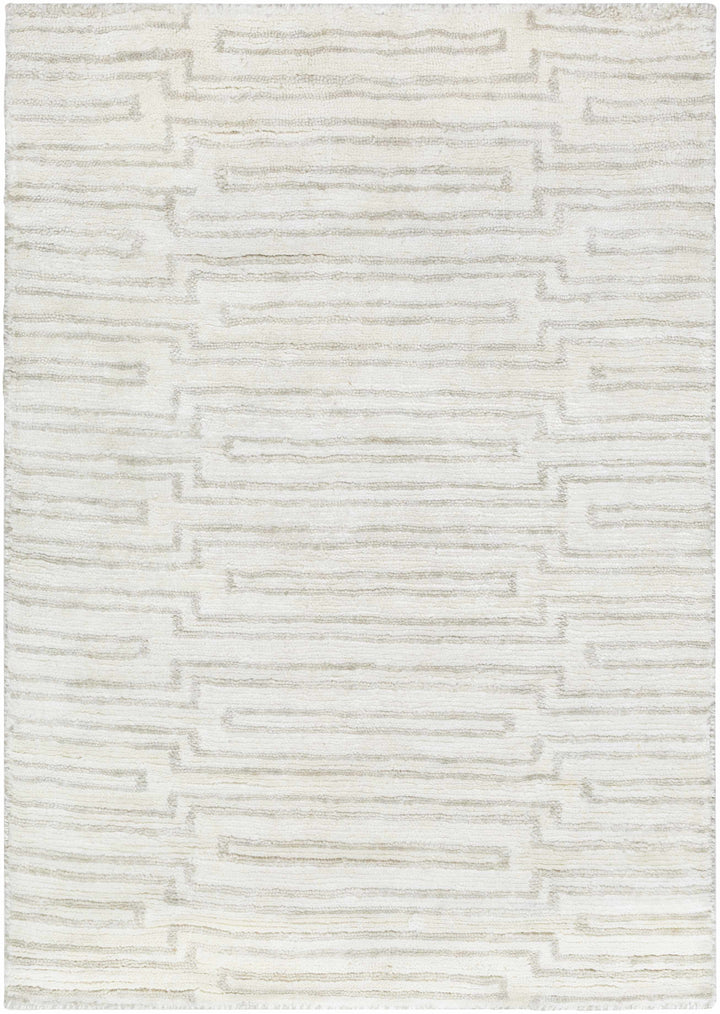 Beige Hand Knotted 100% Viscose Modern Rectangle Handmade rug, Indoor use only, no fringe, non-washable.