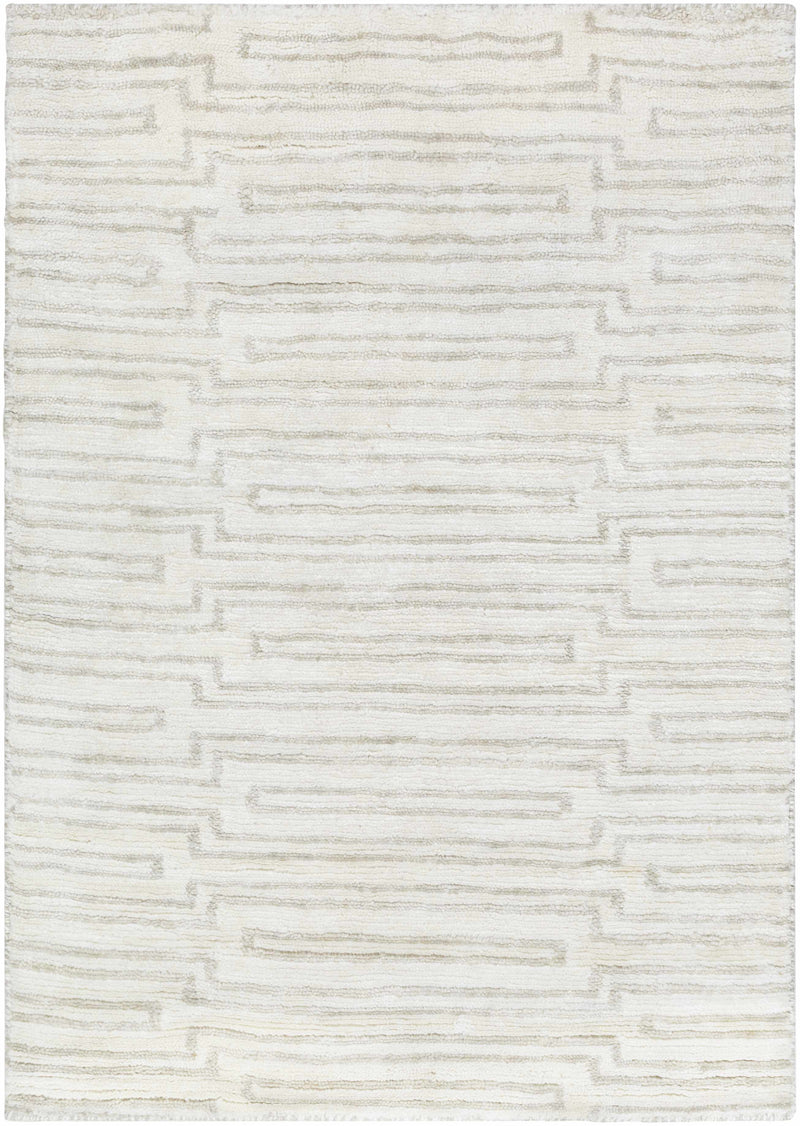 Beige Hand Knotted 100% Viscose Modern Rectangle Handmade rug, Indoor use only, no fringe, non-washable.