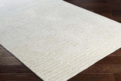 Platinum PLAT-9029 Hand Knotted Rug