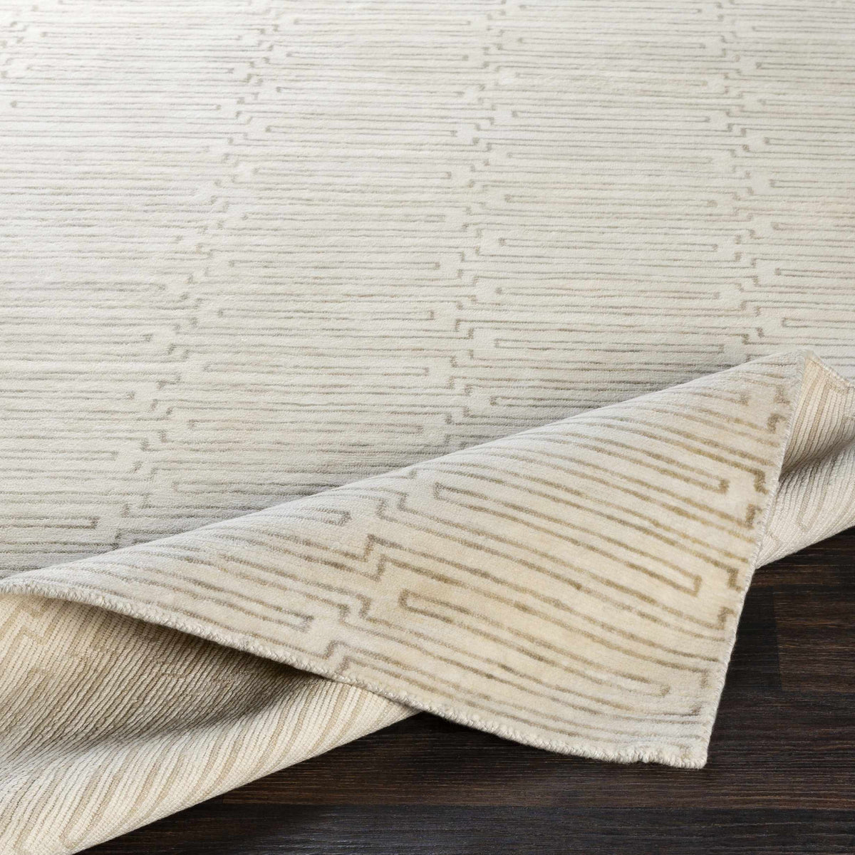 Platinum PLAT-9029 Hand Knotted Rug