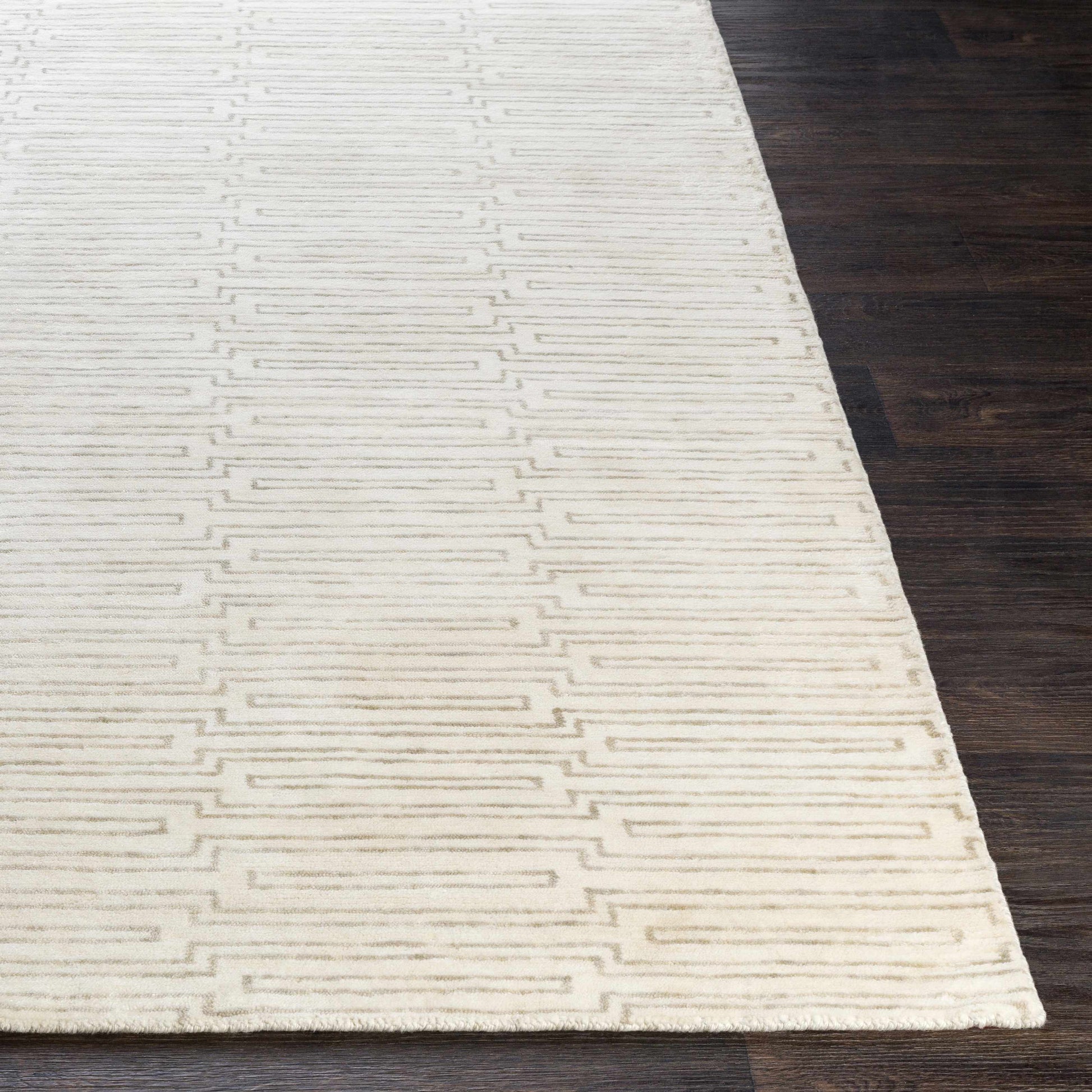 Platinum PLAT-9029 Hand Knotted Rug