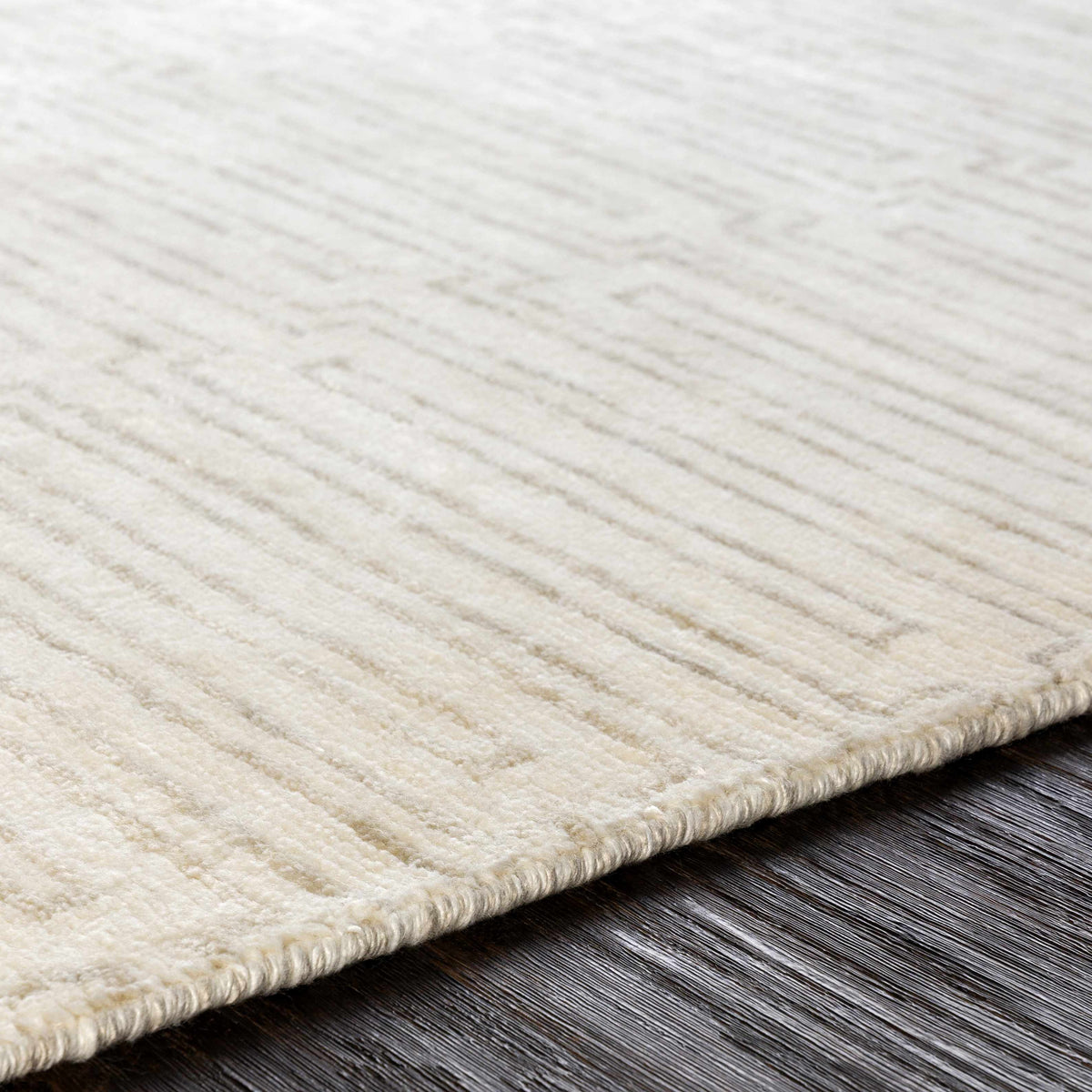 Platinum PLAT-9029 Hand Knotted Rug