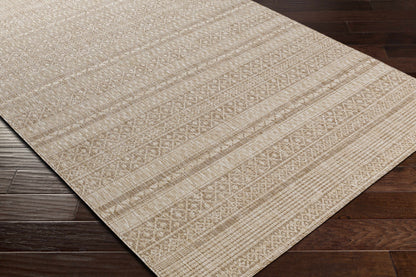 Tuareg TRG-2328 Machine Woven Rug