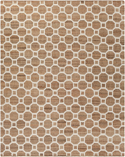 Brown Hand Woven 60% Jute, 40% Viscose Modern Rectangle Handmade rug, Indoor use only, no fringe, non-washable.