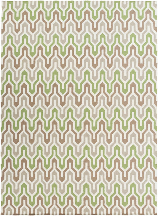 Fallon FAL-1107 Hand Woven Rug