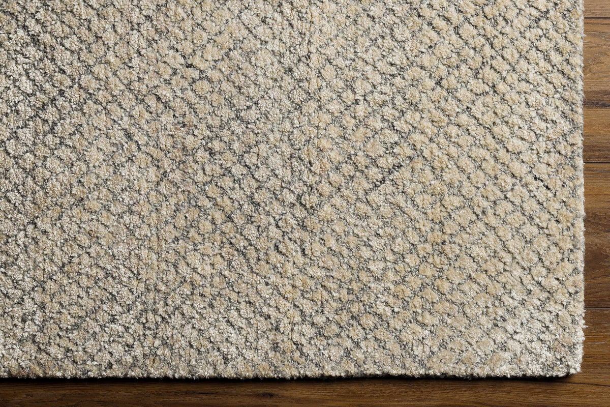 Helen HLE-2302 Hand Loomed Rug