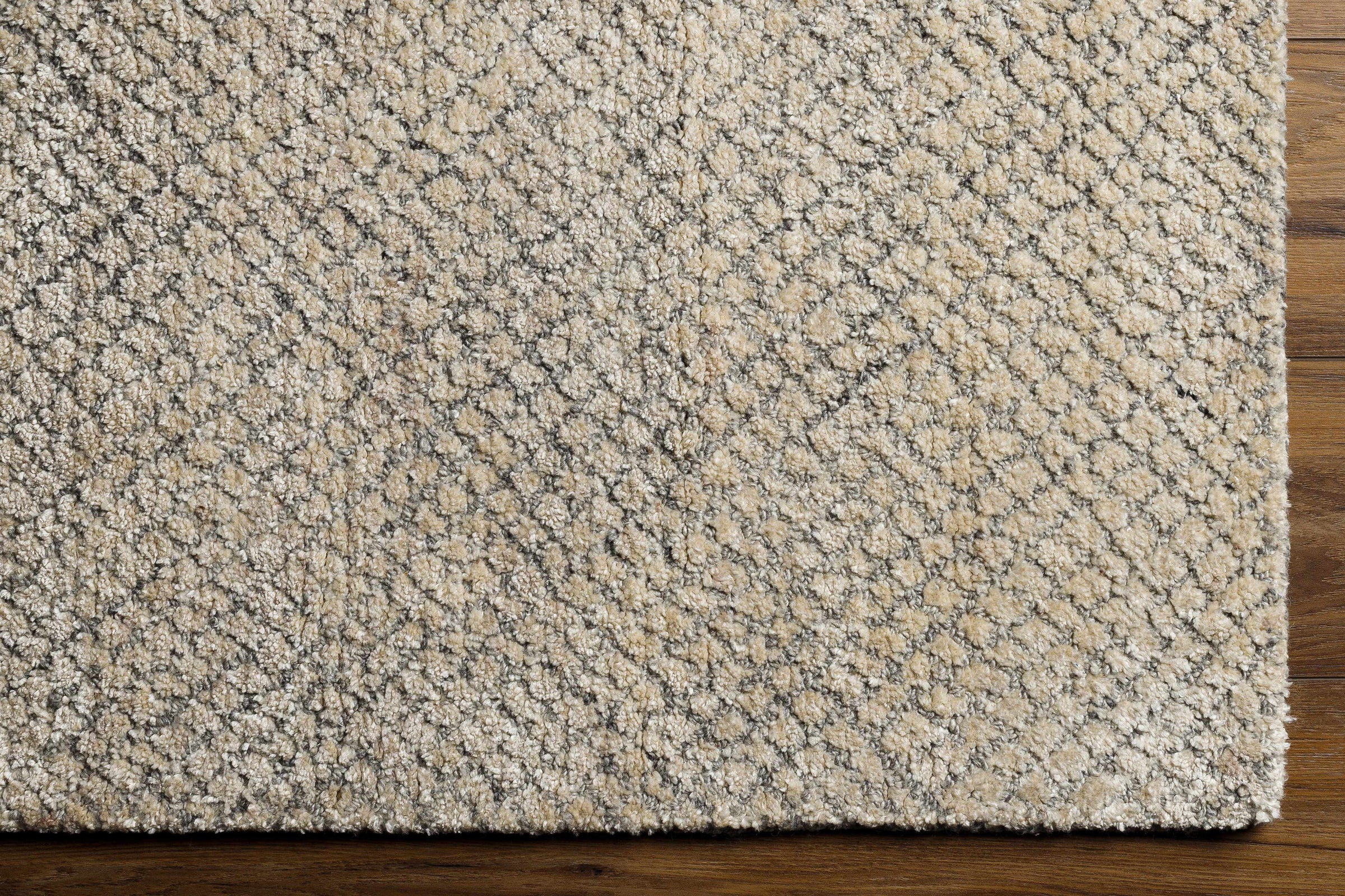 Helen HLE-2302 Hand Loomed Rug