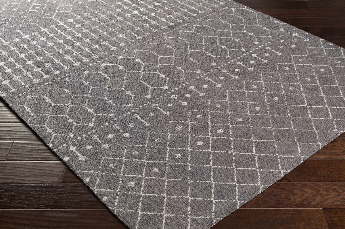 Amsterdam AMS-1026 Hand Woven Rug