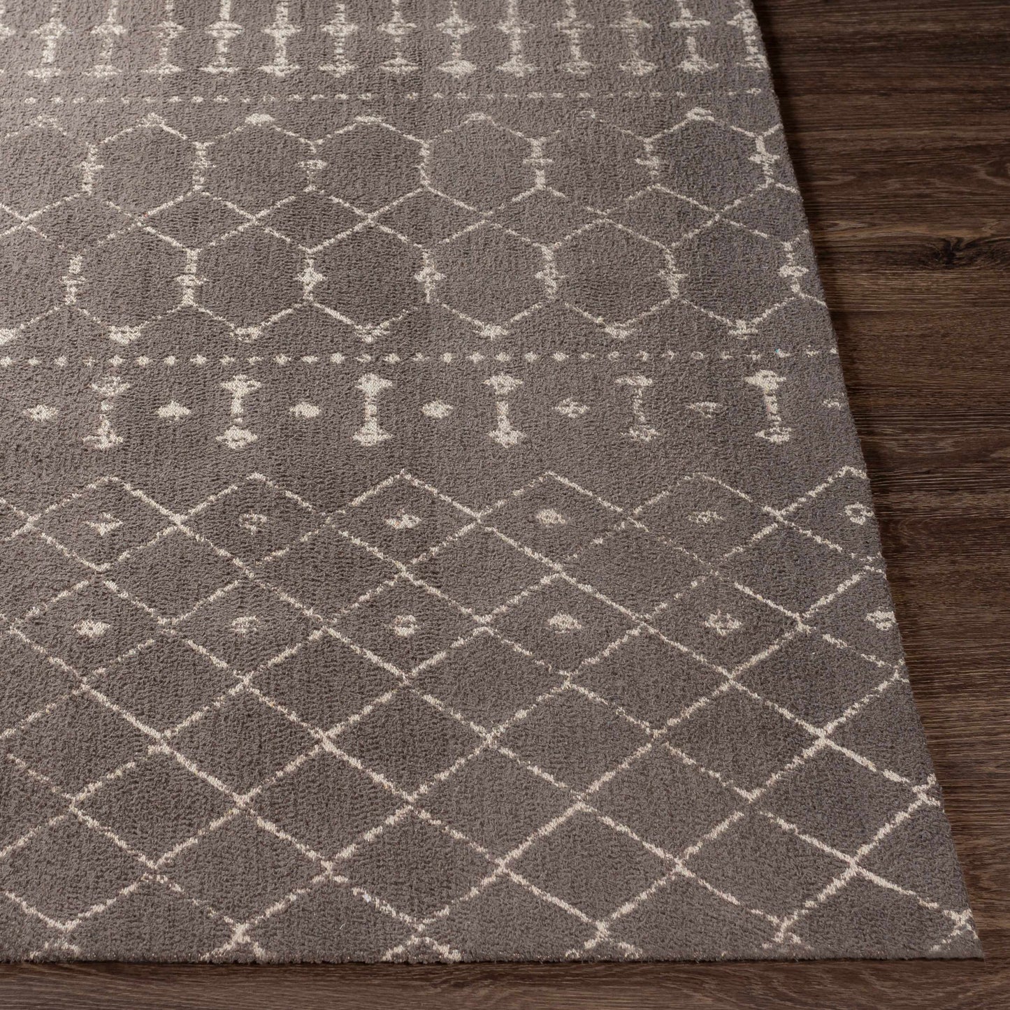 Amsterdam AMS-1026 Hand Woven Rug