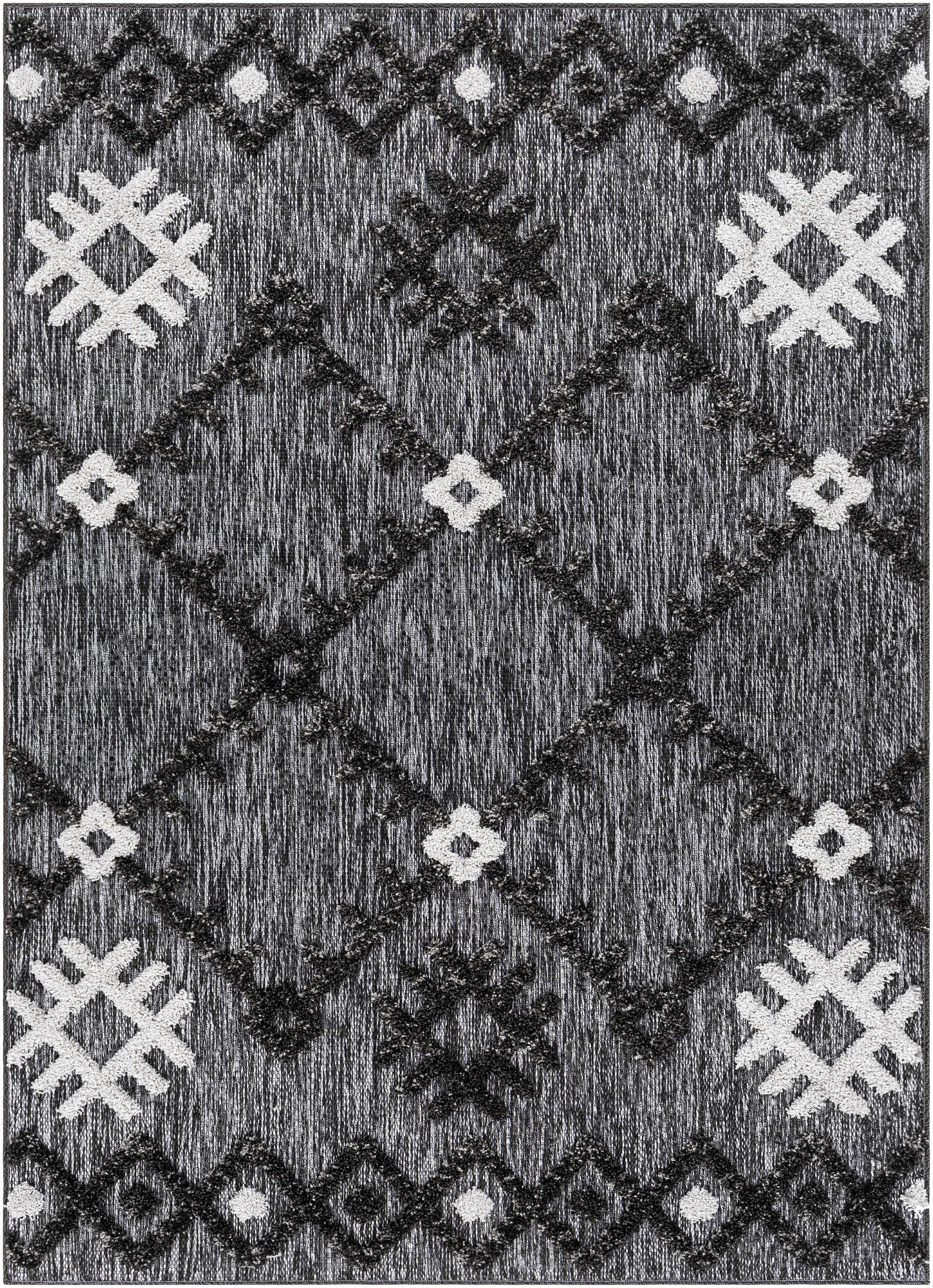 Toledo TLD-2304 Machine Woven Rug