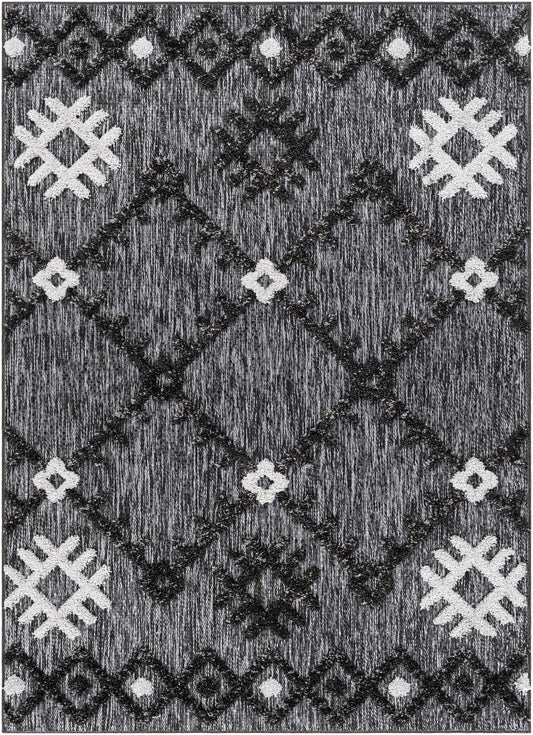 Toledo TLD-2304 Machine Woven Rug