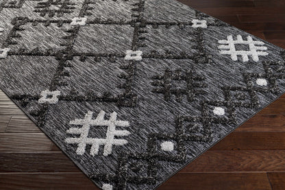 Toledo TLD-2304 Machine Woven Rug