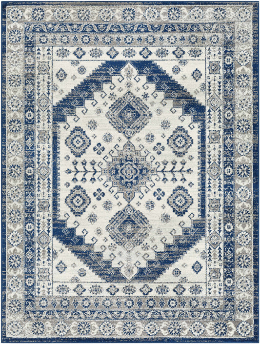 Tevazu TVZ-2376 Machine Woven Rug